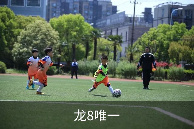 龙8唯一公司简介